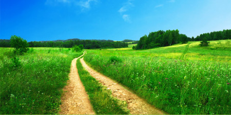 Pojďte ven! Jaro je tu.