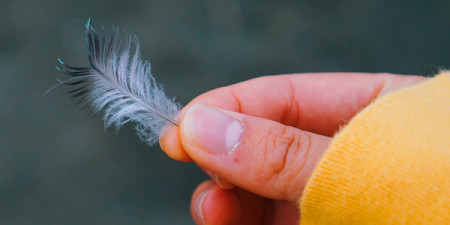 Doprava zdarma nad 300 Kč + péřový speciál