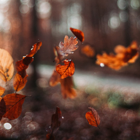 Podzimní cenopád - oblečení ve slevách až 80 %
