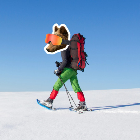 Nebuď medvěd, vylez z brlohu a vyraž na sněžnice.