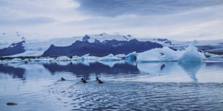Svatba na Islandu - 1. část
