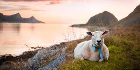 Lofoty - stopem s foťákem