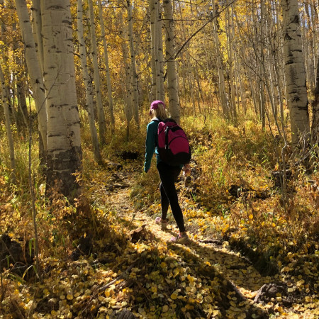 Ceny padají jako listí ze stromů