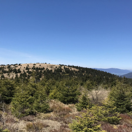 Tipy na výlety pro toulavé boty