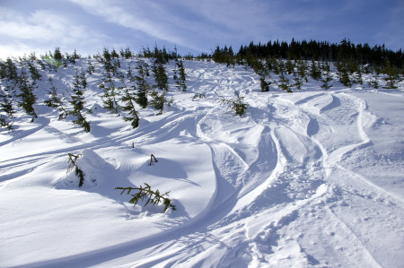 Jak se chovat v Krkonoších na skialpech a proč?