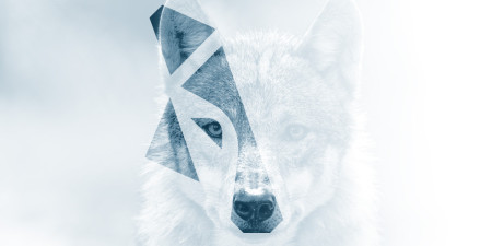 Dny WARG - s tváří vlka + SOUTĚŽ