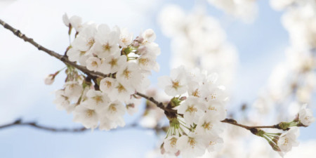 Žerty stranou - světová premiéra + velká velikonoční akce