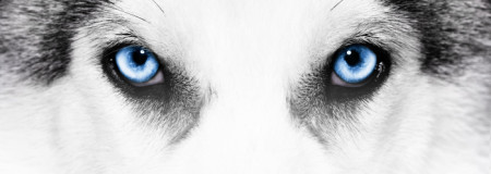 Všechny spacáky HUSKY se slevou 30%, oblečení až 64%, batohy až 25%