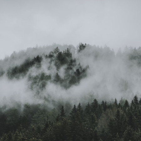 Oblečení do sychravého počasí