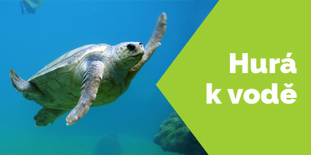 Vybavení k vodě + soutěž o zájezd do Řecka pro 2 osoby