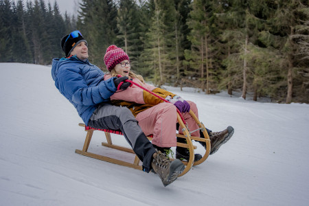 Garance dodání do Vánoc