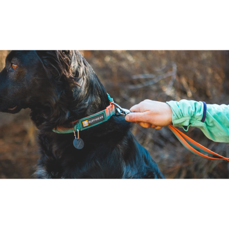Obojek pro psa Ruffwear Front Range™ Collar