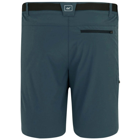 Pánské kraťasy Regatta Xert Stretch Shorts
