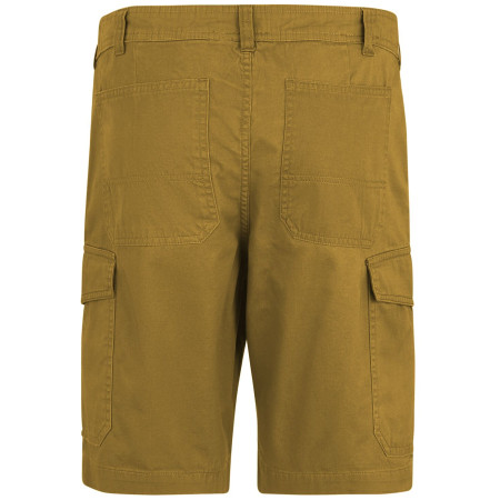 Pánské kraťasy Regatta Ruwan Shorts