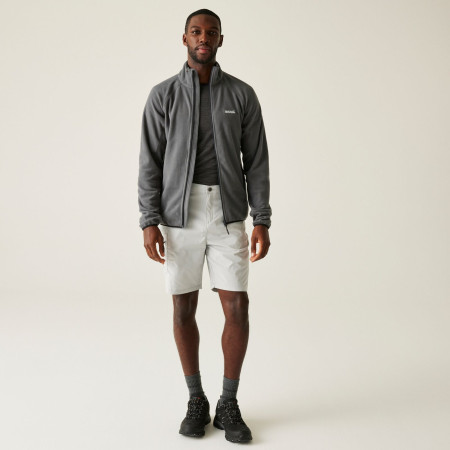 Pánská mikina Regatta Hadfield