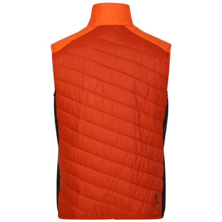 Pánská vesta Dare 2b Touring Gilet