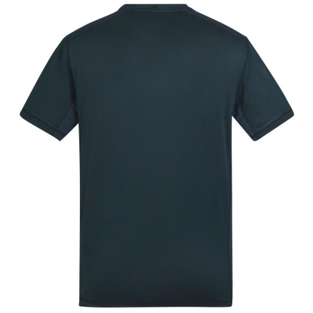 Pánské triko Regatta Virda