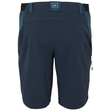 Pánské kraťasy Regatta Eldes Shorts