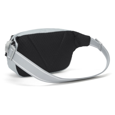 Ledvinka Pacsafe Vibe 100 Hip Pack