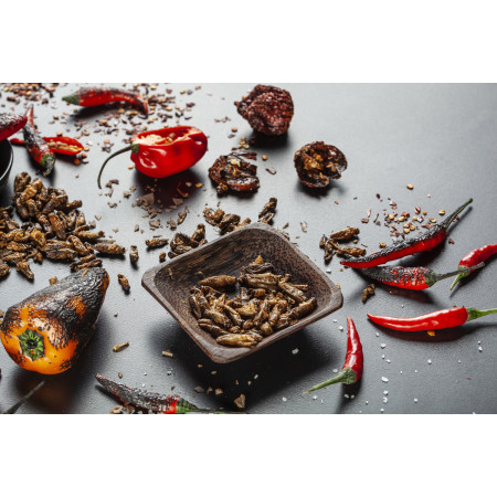 Jedlí cvrčci Sens Páliví křupaví & pražení cvrčci - Dárkový set 4 chutí