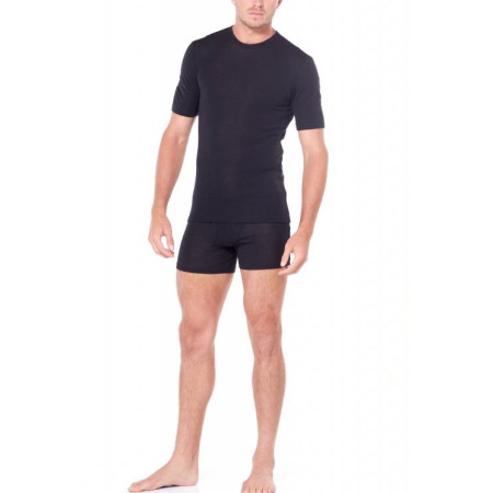 Pánské tričko Icebreaker Mens 175 Everyday SS Crewe