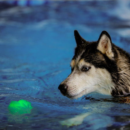 Hračka pro psa Nite Ize GlowStreak Wild LED Ball