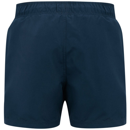 Pánské plavky Regatta Mawson Swim Shorts III