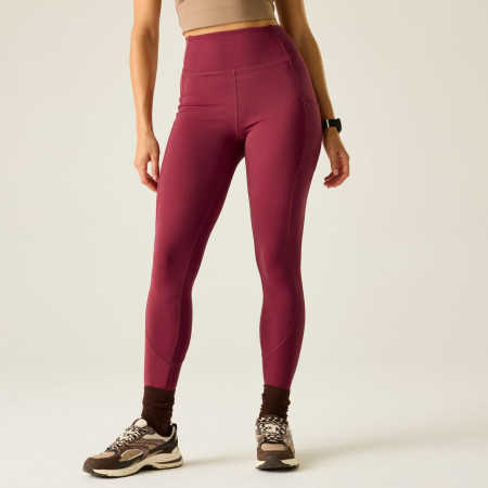 Dámské legíny Dare 2b Power Legging