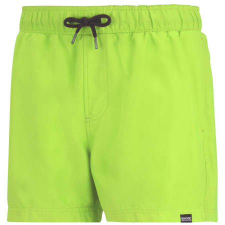 Pánské plavky Regatta Mawson Swim Shorts III