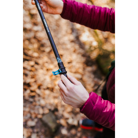 Trekové hole Warg Carbon Lock
