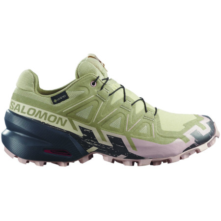 Dámské boty Salomon Speedcross 6 Gore-Tex