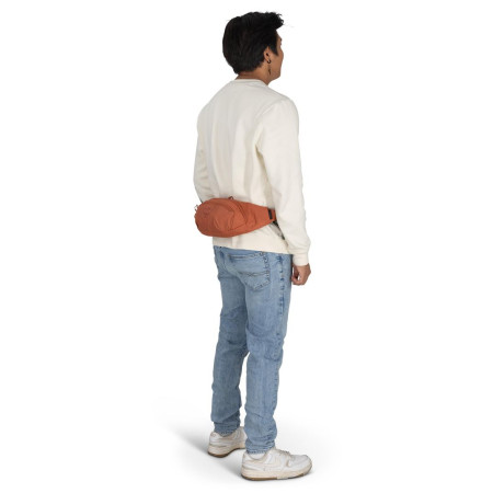 Ledvinka Osprey Daylite Waist Pack