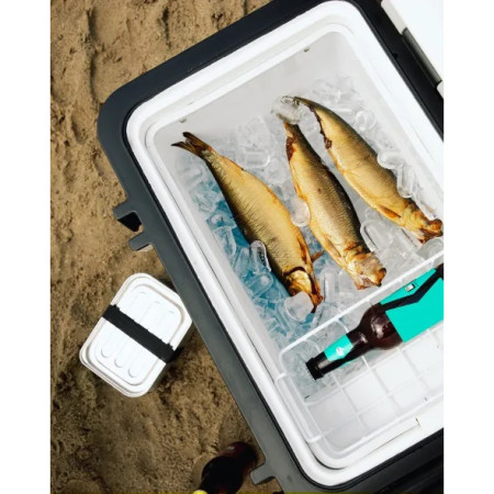 Kompresorová chladnička Mestic Compressor MCCA-42 AC / DC