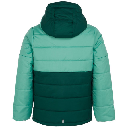 Dětská bunda Regatta Lofthouse VIII