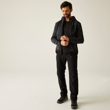 Pánská mikina Regatta Alven