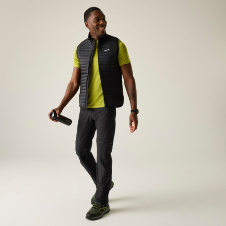 Pánské kraťasy Regatta Mountain Z/O Trousers