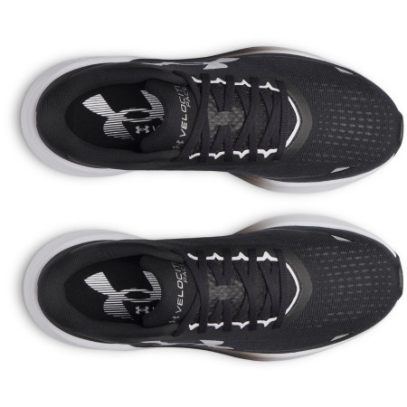 Pánské běžecké boty Under Armour UA Velociti Pace
