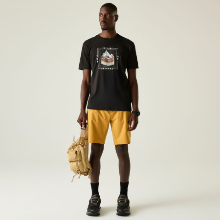 Pánské triko Dare 2b Movement III Tee