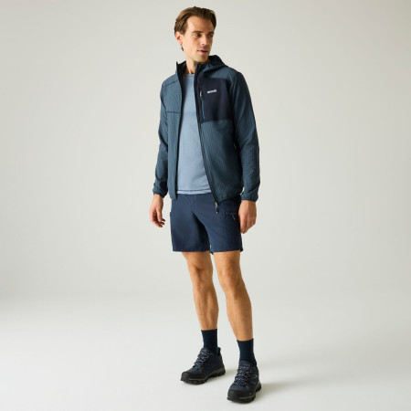 Pánská mikina Regatta Alven