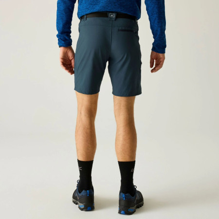 Pánské kraťasy Regatta Xert Stretch Shorts