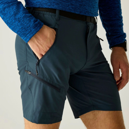 Pánské kraťasy Regatta Xert Stretch Shorts