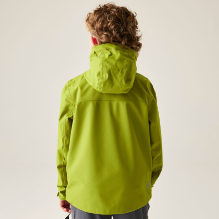 Dětská bunda Dare 2b Kids Switch II Jacket GoldnCypress