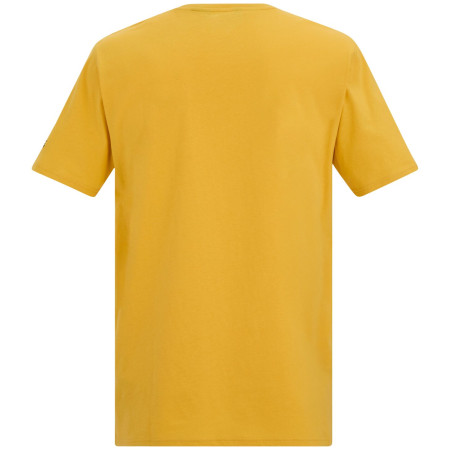 Pánské triko Regatta Cline IX