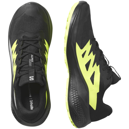 Pánské běžecké boty Salomon Alphaglide Gore-Tex