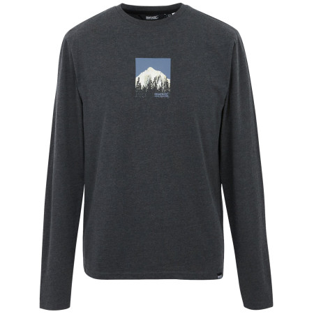 Pánské triko Regatta Maylow