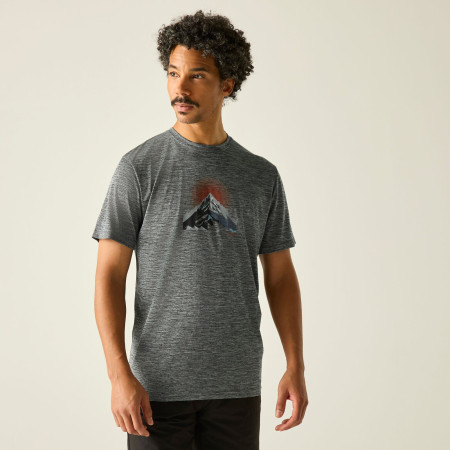 Pánské triko Regatta Fingal