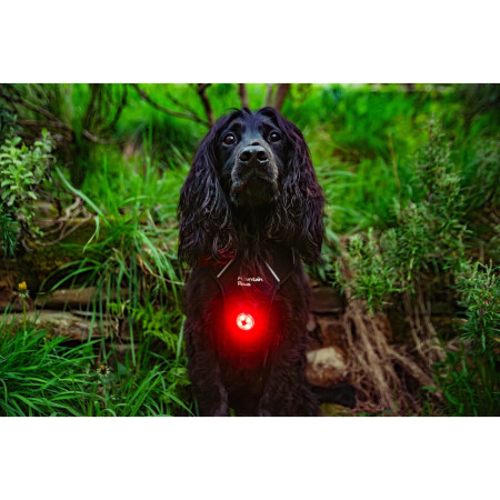 Světlo pro psa Mountain Paws Dog safety light 2-Pack