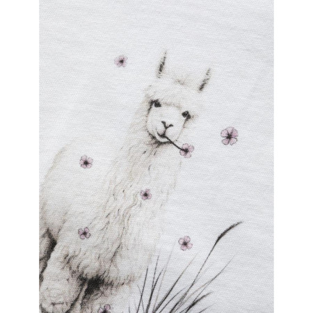 Dámské triko Chillaz Leoben Alpaca Meadow