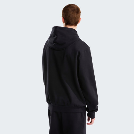 Pánská mikina The North Face M Evolution Simple Dome Regular Hoodie