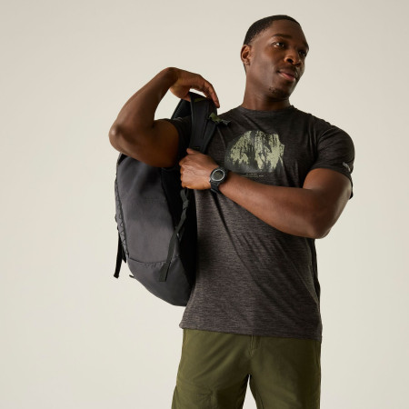 Pánské triko Regatta Fingal